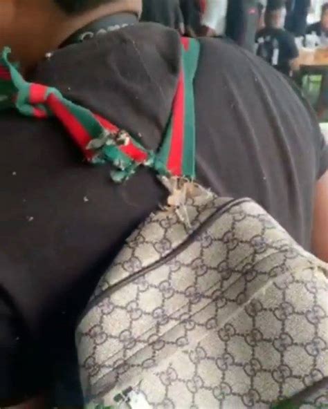 gucci bag hanging by a thread meme|gucci girl memes.